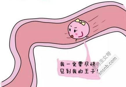 [中医治疗输卵管堵塞的方法] 聊一聊输卵管堵塞的问题