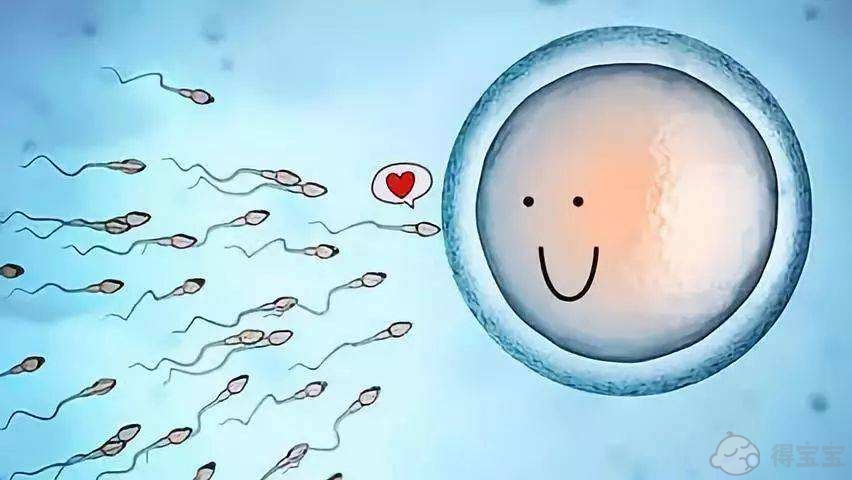 什么是超级精子，泰国试管婴儿如何解决 ＂超级精子 ＂生孩子难的问题？