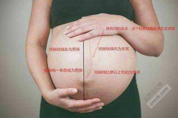 如何计算怀孕的时间