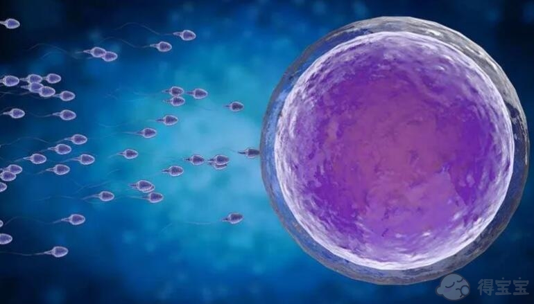 卵巢早衰能做泰国试管婴儿吗？