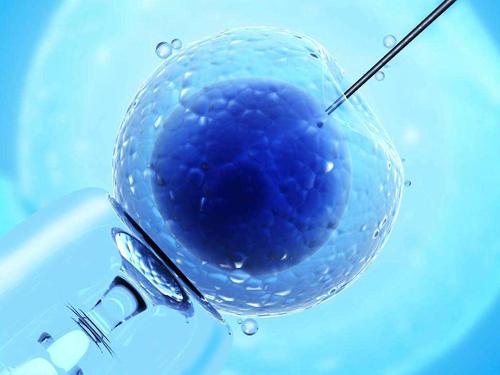 男性伴侣需要做哪些准备来进行泰国试管婴儿胚胎移植？