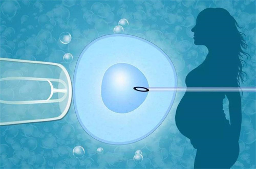 合肥借卵试管生子：合肥的私立医院可以提供捐赠卵子的试管婴儿吗？