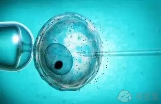 中山A卵B怀-如何在3秒钟内从B超图像中看出宝宝是男孩还是女孩？