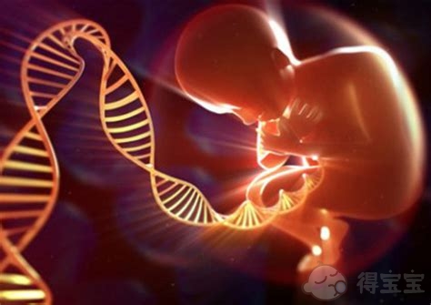 威海57岁助孕男孩：接受第三代试管婴儿的夫妇需要做地中海贫血症的基因检测吗？